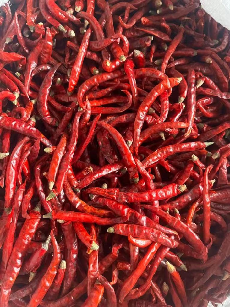 Pilipili